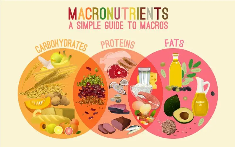 picture shows and tell us about macronutrients